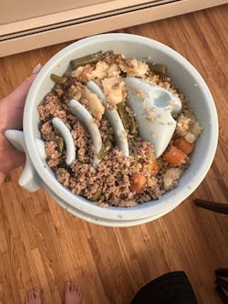 Small Fish Shaped Slow Feeder Bowl