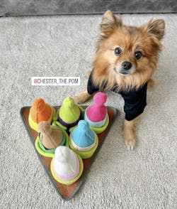 Bowling Pin Interactive Nosework Dog Toy