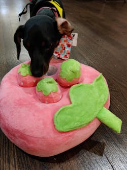 Strawberry Interactive Nosework Dog Toy