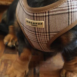 Pup Plaid Harness