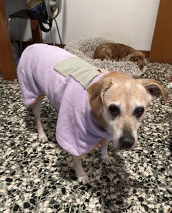 Alpha 360 Fleece Pullover Lavender Mix