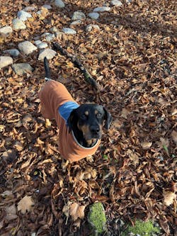 Alpha 360 Fleece Pullover Terracotta Mix