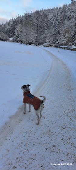 Alpha 360 Fleece Pullover Terracotta Mix