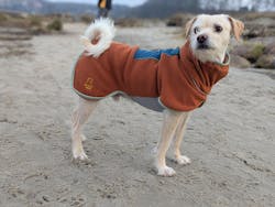 Alpha 360 Fleece Pullover Terracotta Mix