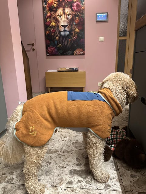 Alpha 360 Fleece Pullover Terracotta Mix