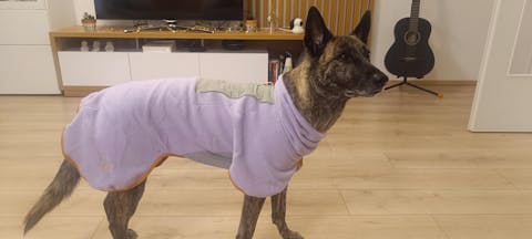 Alpha 360 Fleece Pullover Lavender Mix