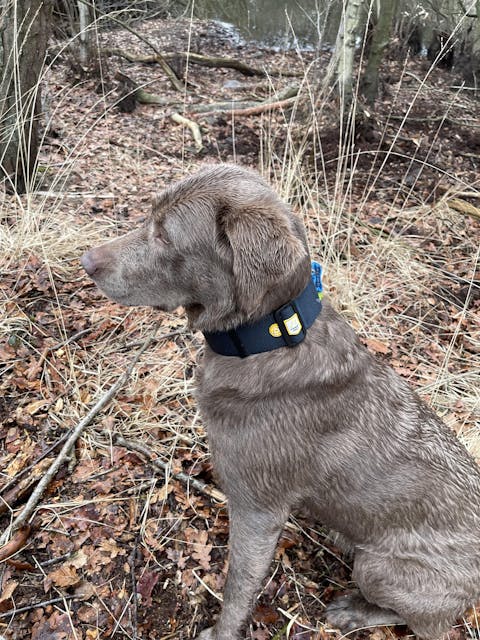 Alpha 360 Hip Pack Deep Teal