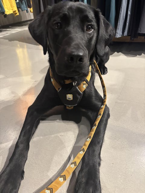 Sea To Summit Dog Leash