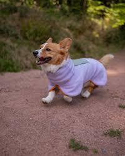 Alpha 360 Fleece Pullover Lavender Mix