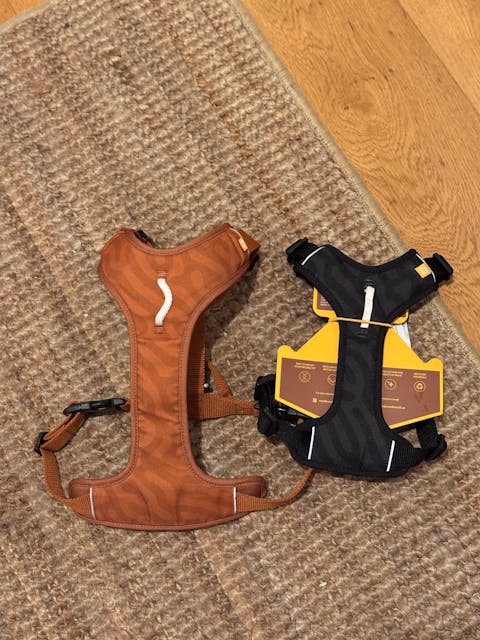 Roam Dog Harness Black Outlet