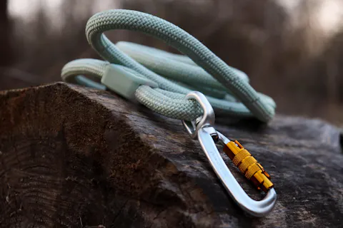 Rope Dog Leash Glacier Green