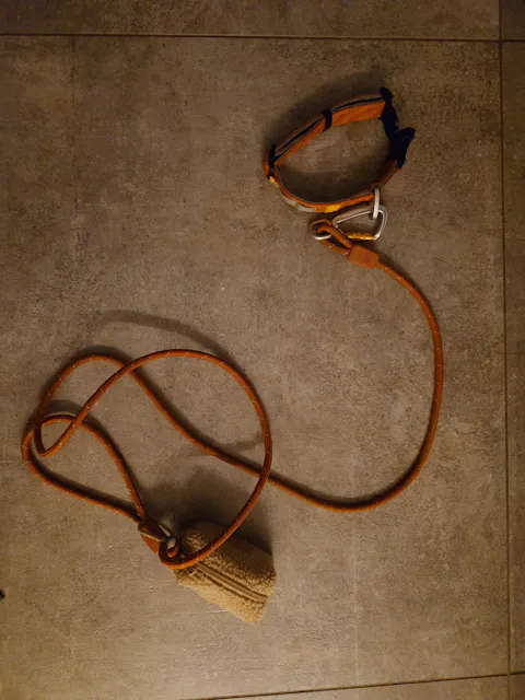 Rope Dog Leash Thin Terracotta