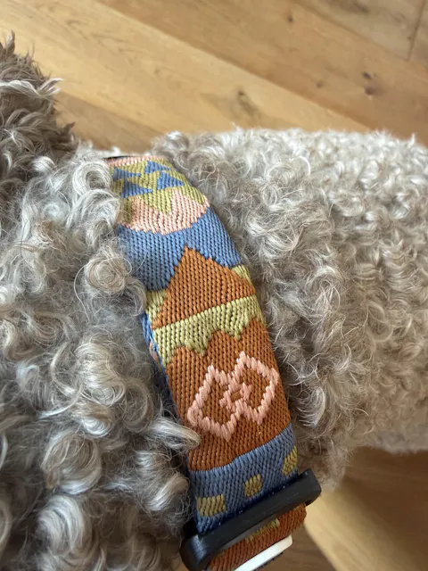 Nightless Night Dog Collar