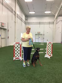 1-TDC Oral Health + Mobility Support for Dogs