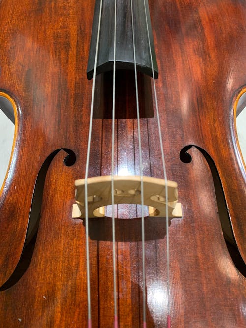 【擊退樂器頑垢 2+4老手套組】Dolce頂級琴油x2 + 超細纖維白雪拭巾x4