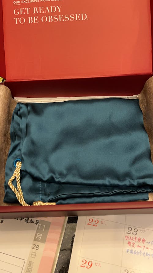 手工訂製提琴袋