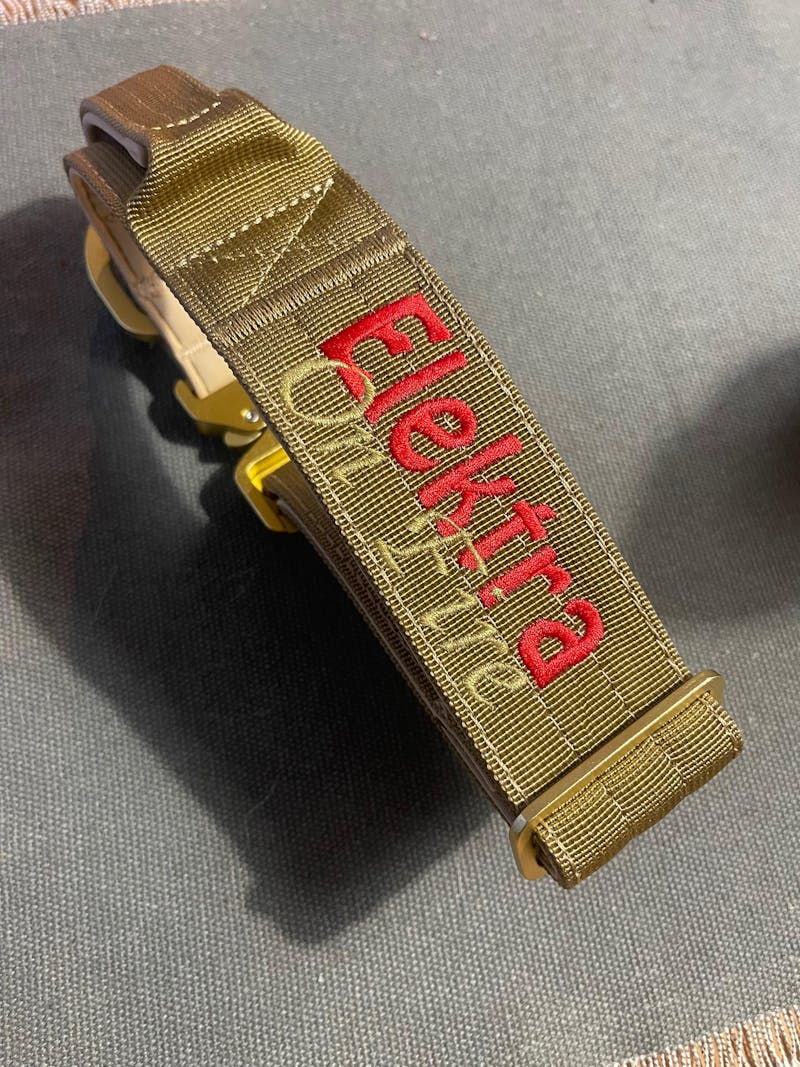 Taktisches Hundehalsband ULTRA LIGHT 5cm Sand Olive Edition L