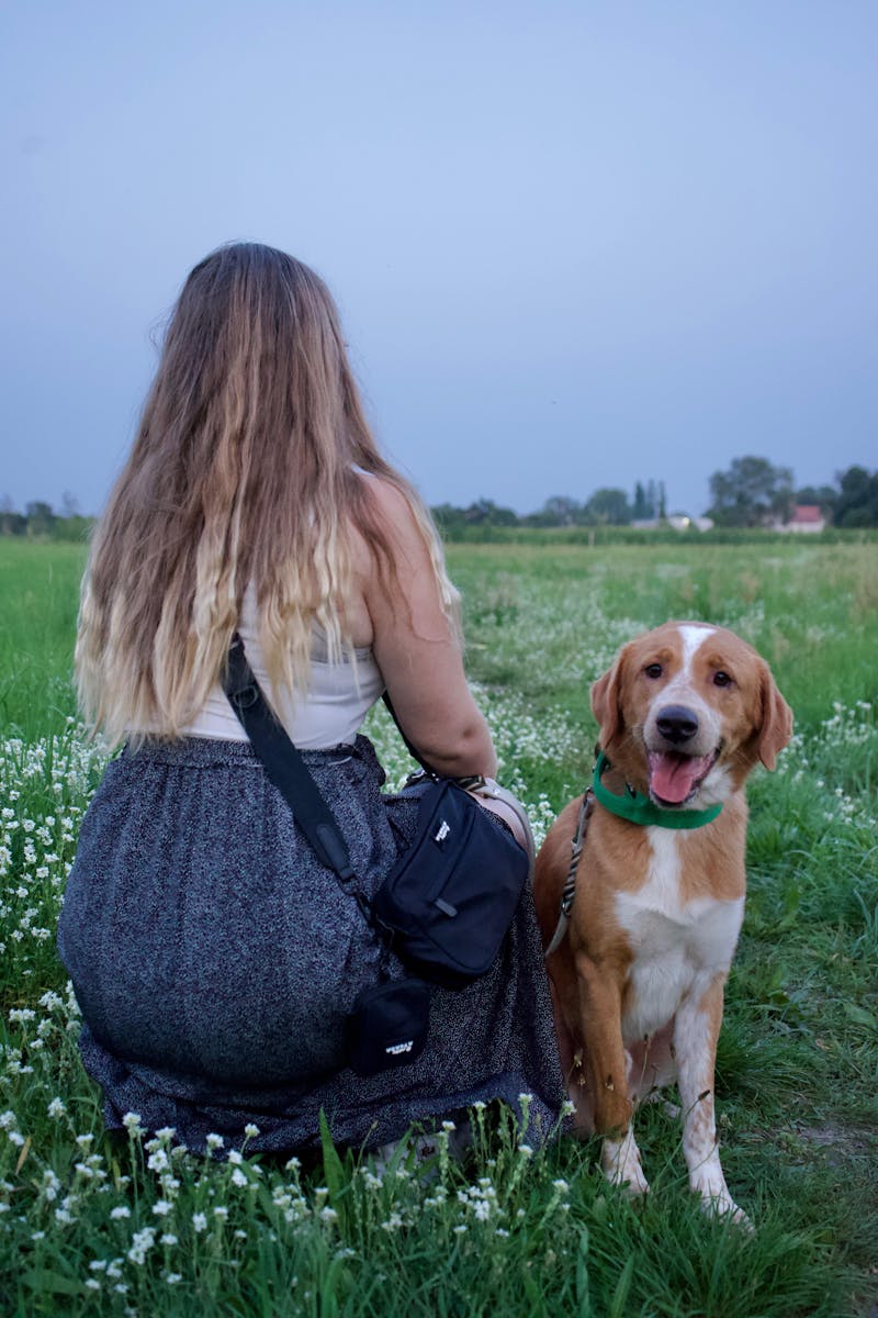 Umhängtasche & Leckerli-Tasche
