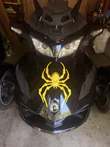 User picture