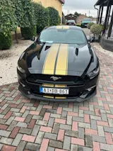 User picture