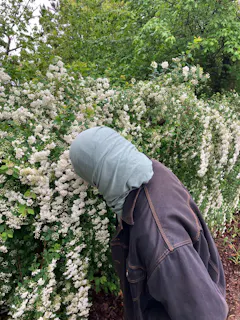 Review picture