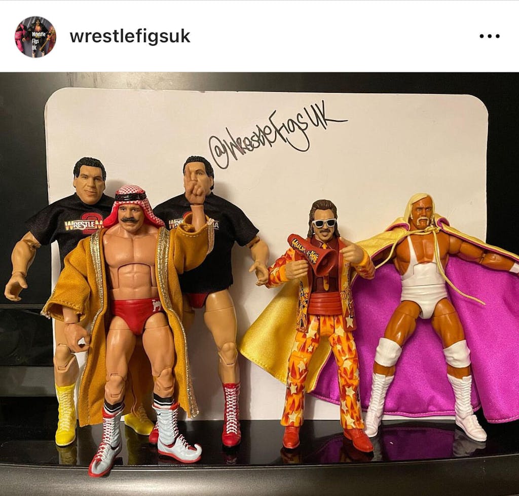 Andre The Giant WWE Legends Series #21 (Chase Variant) Action