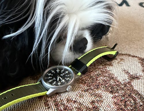 HALO™ Elite Two-Piece Nylon Straps