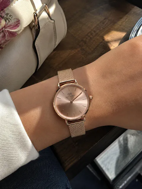 DW Petite Round Mesh Chain Rose Gold
