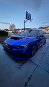 User picture