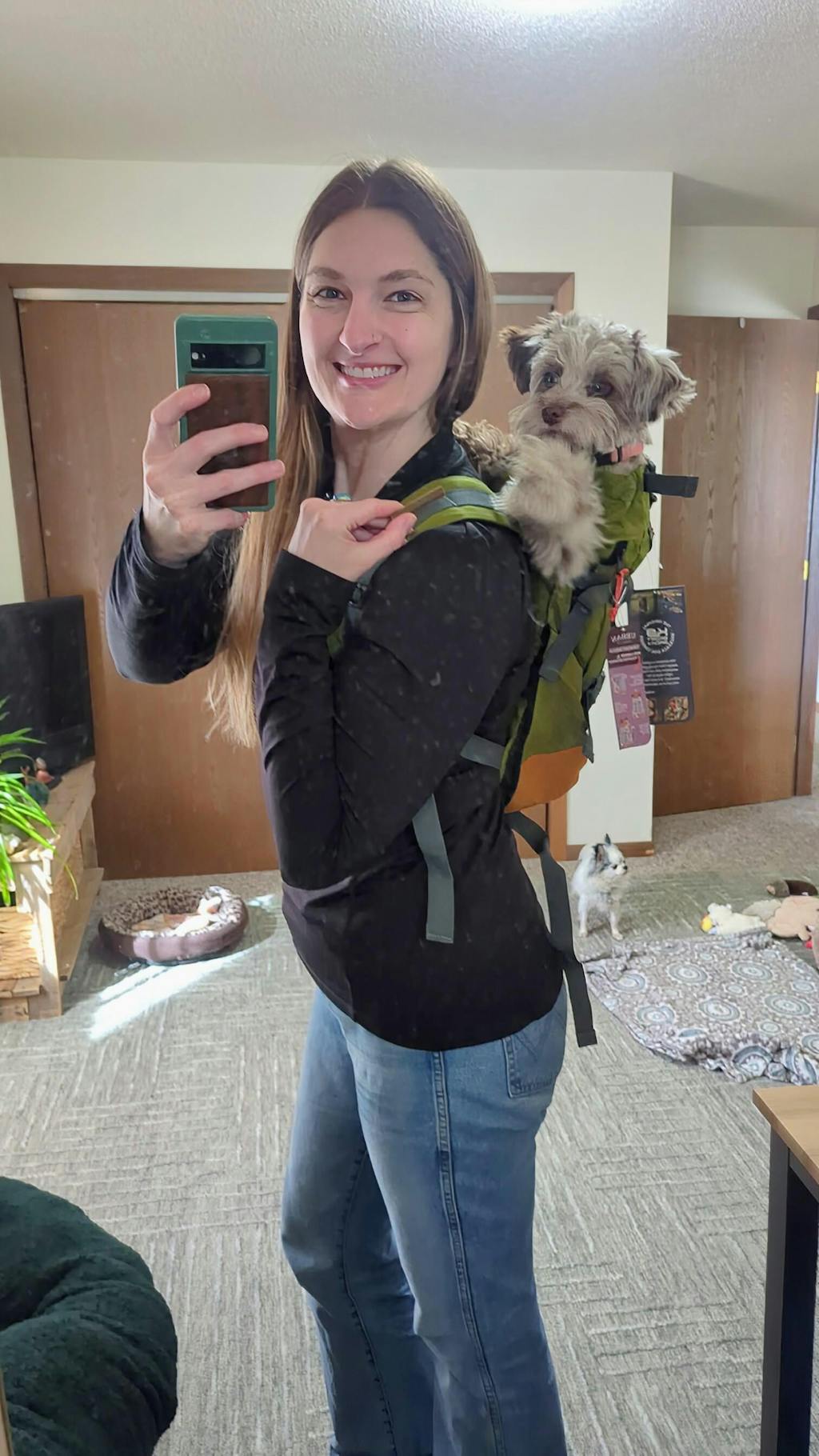 Urban 3 Dual Use Dog Carrier & Traditional Backpack