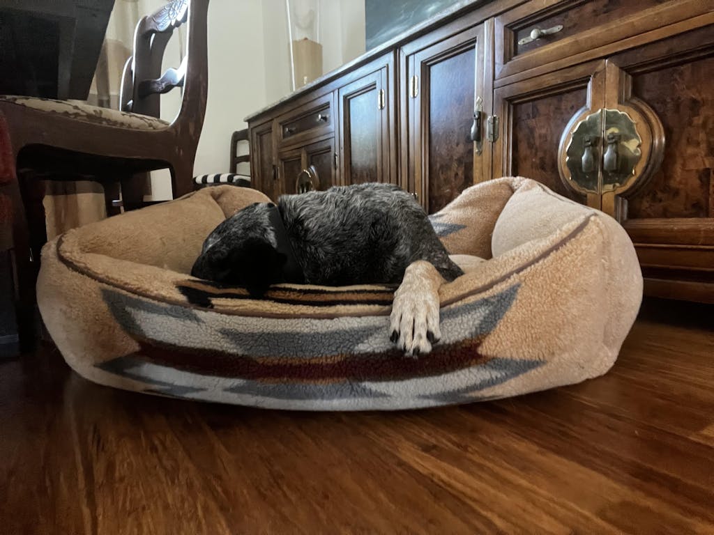 Pendleton Berber Kuddler Dog Bed