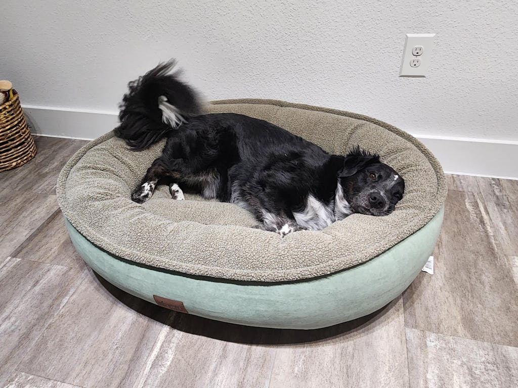 Microfiber Comfy Cup Bolster Dog Bed