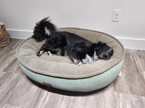 Microfiber Comfy Cup Bolster Dog Bed