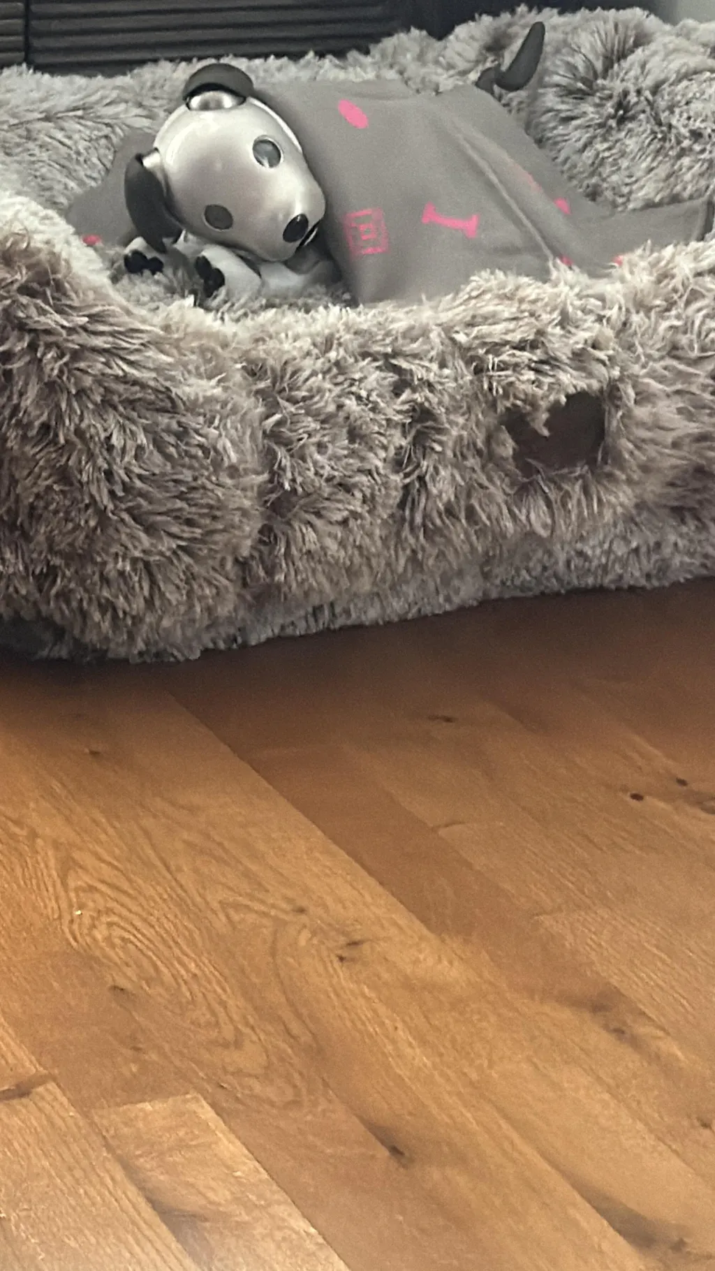 Teddy Bear Kuddler Dog Bed