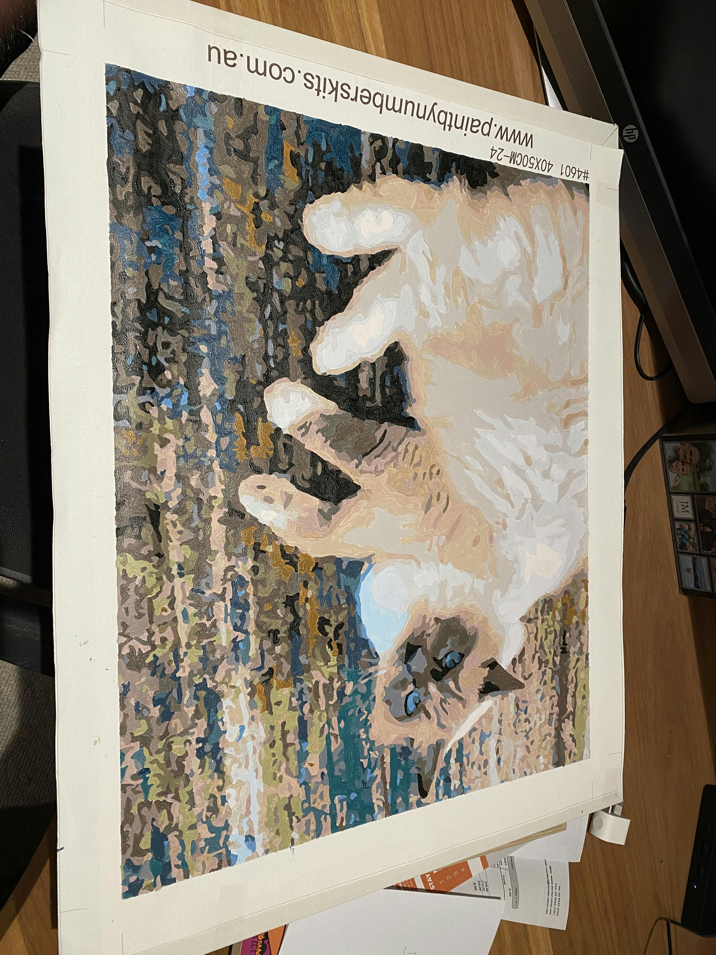 Custom Paint By Numbers Australia Paint By Numbers