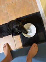 LOW FAT RENAL SUPPORT