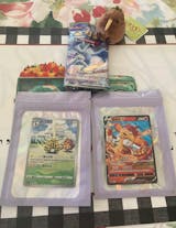 Wyvern's Nest Collectibles