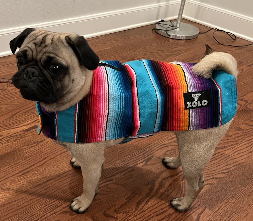 BLUE SARAPE DOG JACKET