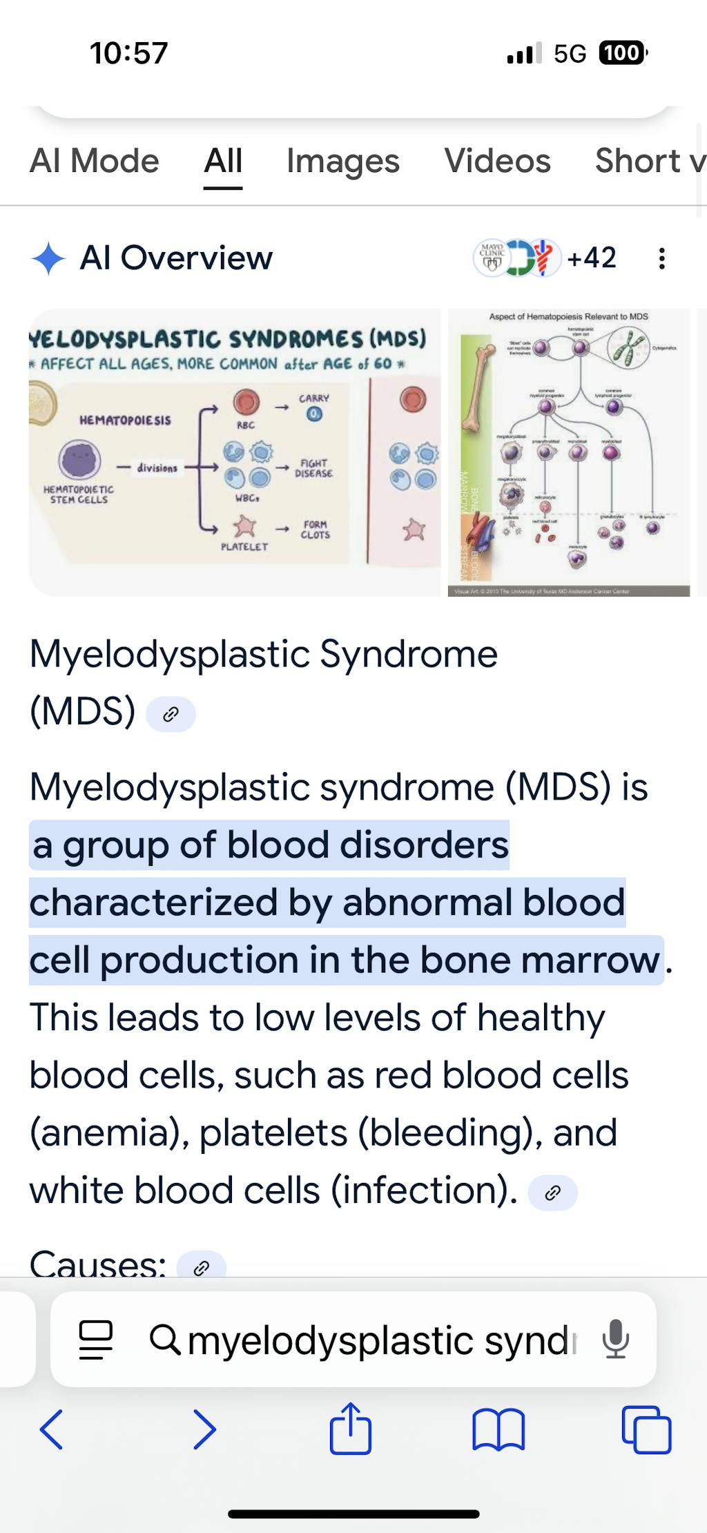 "Natalia" Scuba Crepe Off the Shoulder Ruffle Neck Knee Length Dress