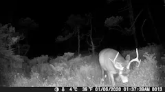Review picture