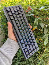 User picture