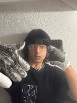 User picture
