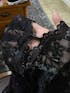 sexy hollow lace see-through straps crotchless Teddies&Bodysuits
