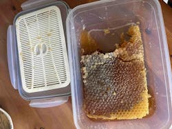 600 Gr Yegens Hakiki Karakovan Balı | TA17.5+ | 900 Prolin | Erzincan - Kemah | Doğal Karakovan Balı