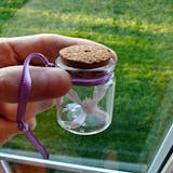 Bottled Fairy ~ With carrying string!