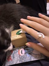 Cosmic Bundle - Mondstein Ring - Flow