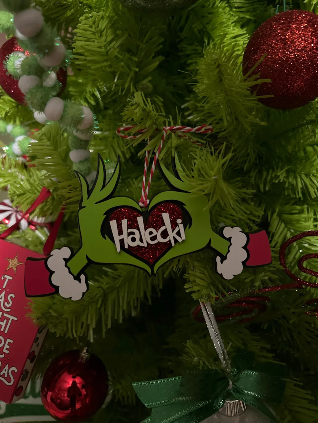 Personalized Grinch Ornament – Customizable Whoville Christmas Decor for Gifts & Tree Trimming