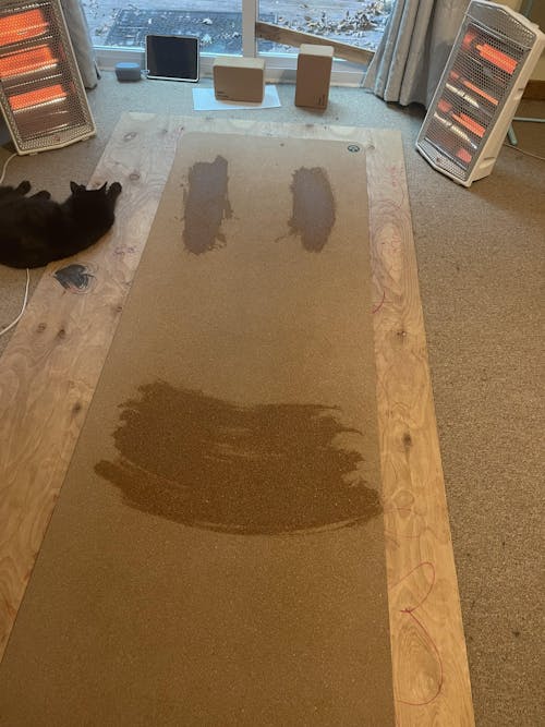 Unity Pro Cork Yoga Mat