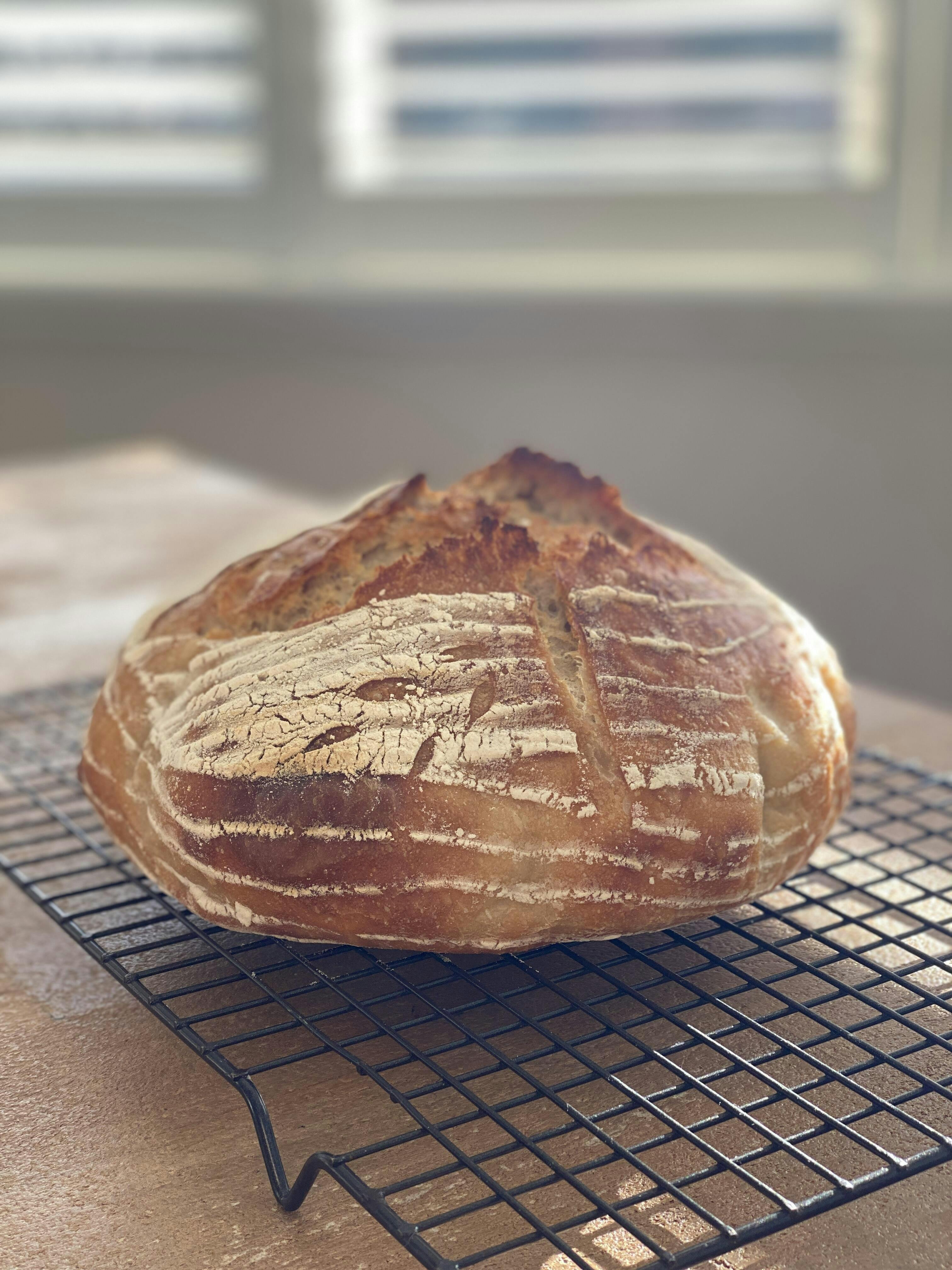 High Protein White Bread Flour You Knead Sourdough