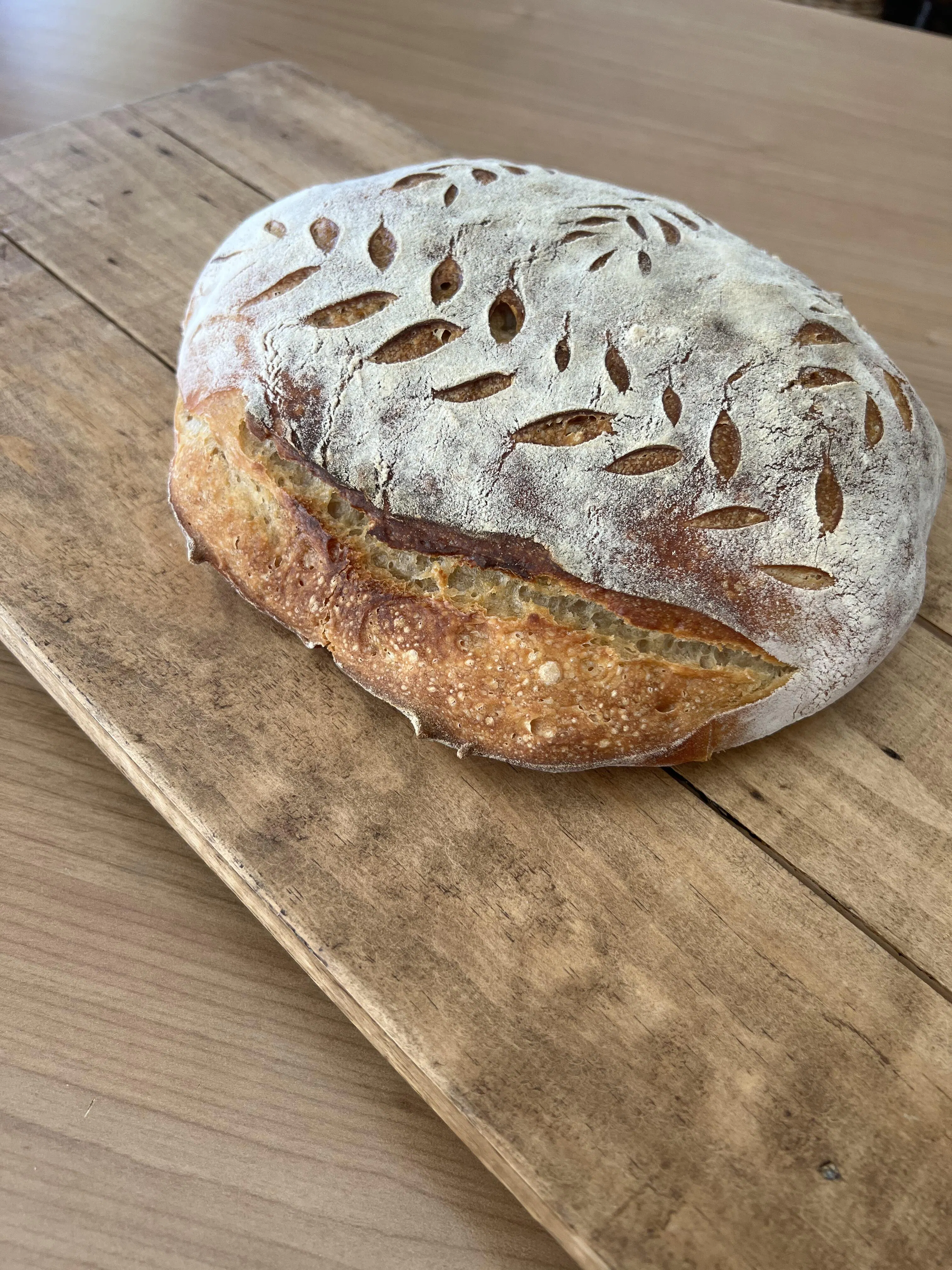 24cm Stainless Steel Mixing Bowl & Lid You Knead Sourdough